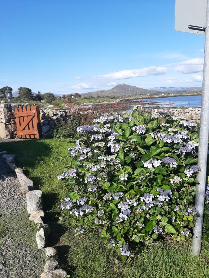 Rossroe Lodge B&B Canower Eksteriør bilde